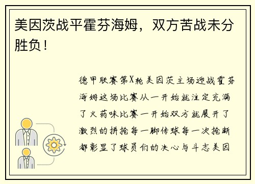 美因茨战平霍芬海姆，双方苦战未分胜负！